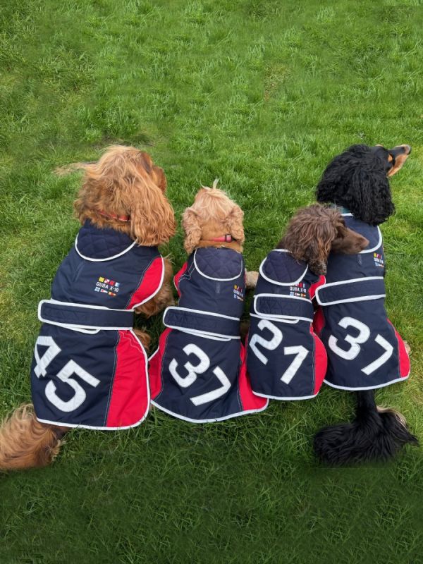 Quba X-Series Dog Coat - Sidney 