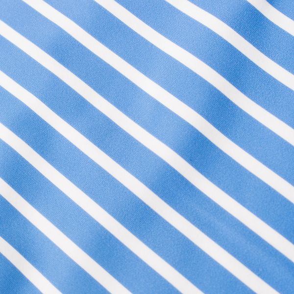Remora Women’s One Piece Swimsuit - Blue Stripe