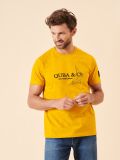 yellow, graphic, t shirt, tee, top, short sleeve, embroidery, mens, basic, bright, autumn