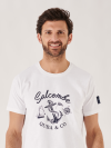 white t shirt, t shirt, basic, location, white, graphic, salcombe